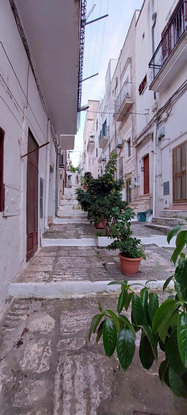 Vico Anglani Guest House Ostuni Extérieur photo
